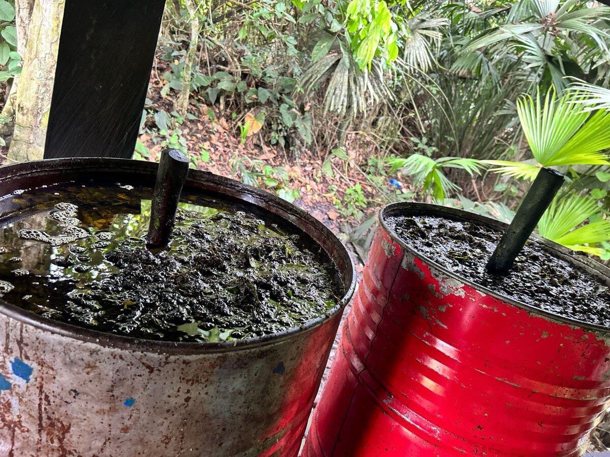 Nuevo golpe a laboratorios de coca del Clan del Golfo en el sur de Córdoba