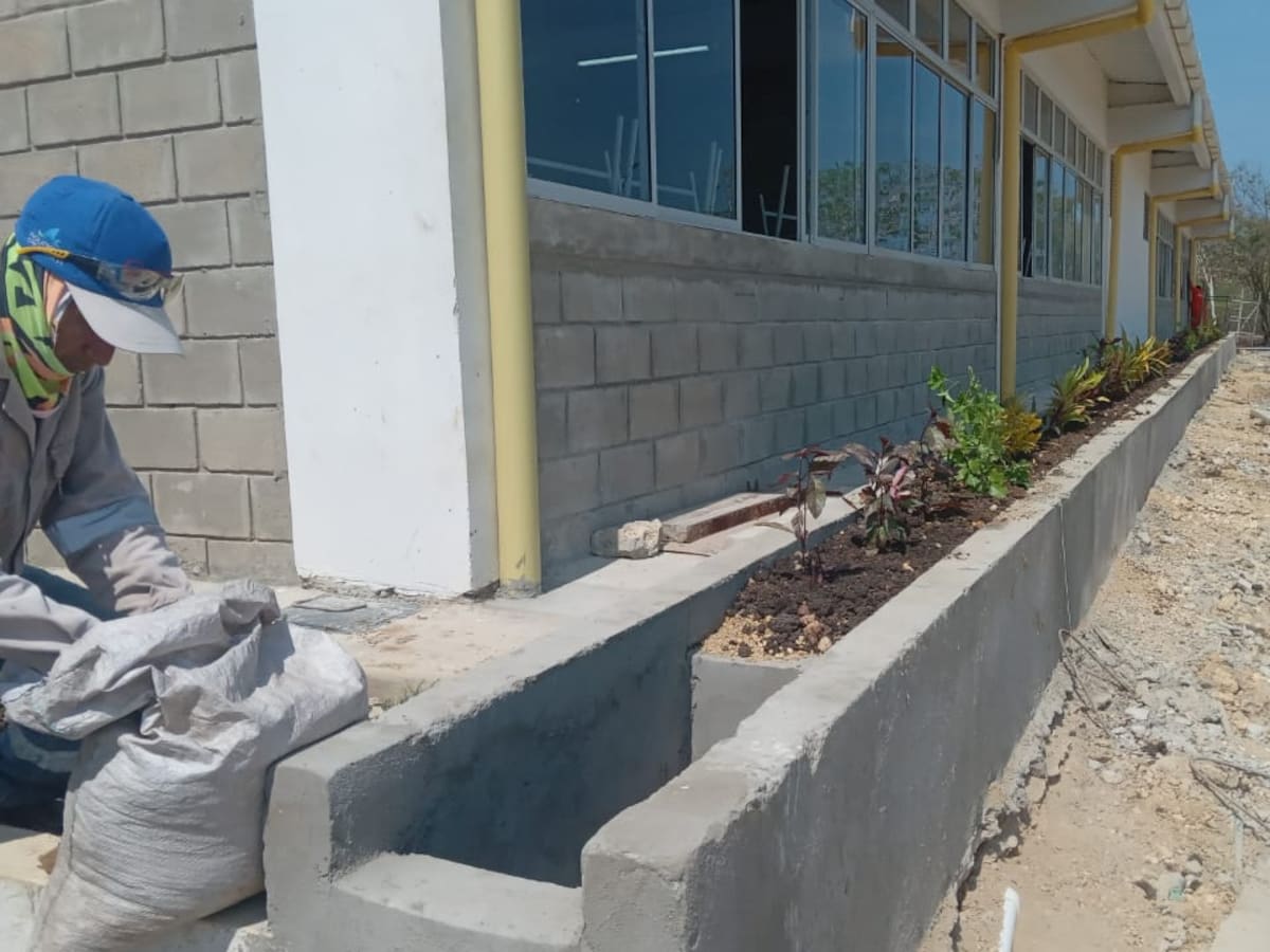 Acuacar brindó asistencia técnica en obras de I.E. de Tierra Baja: también sembró 450 plantas