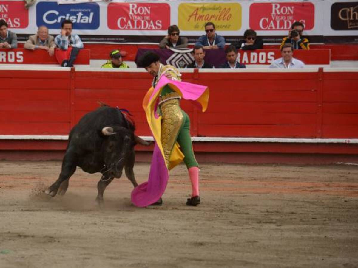 Convocan movilización en Bogotá para rechazar fallo que suspendió consulta taurina