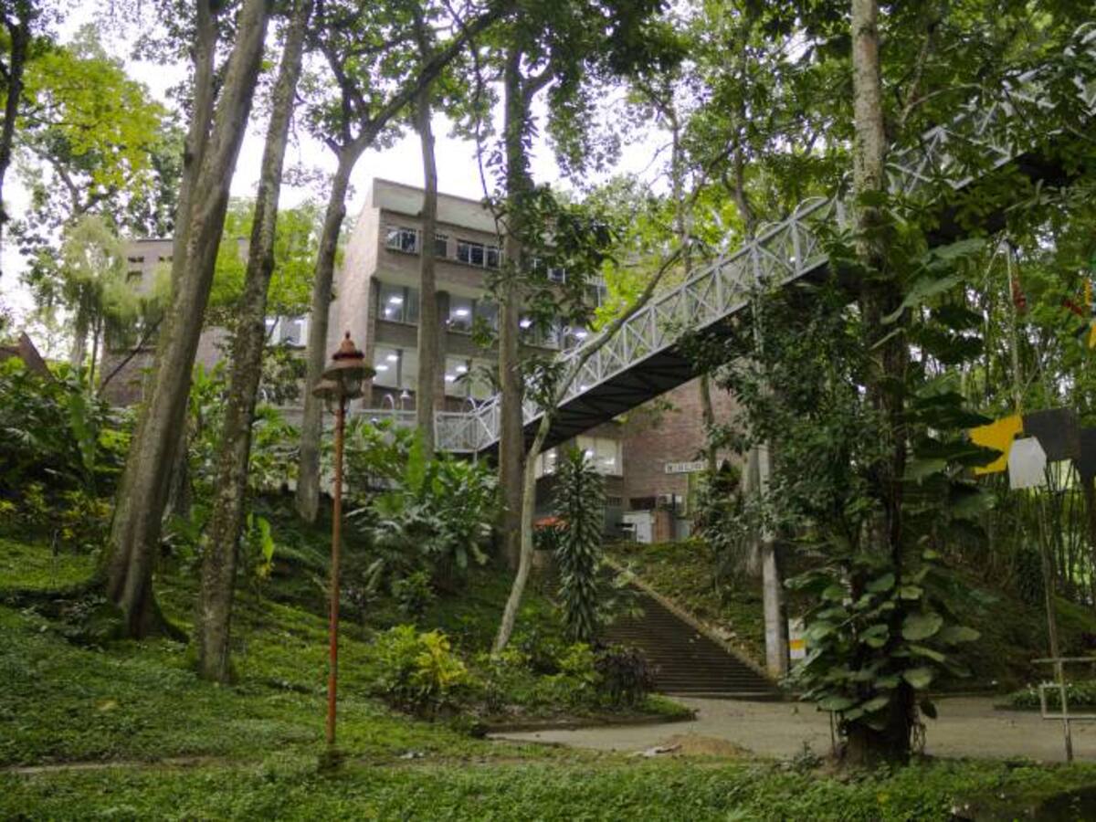 Universidad Autónoma le "saca el quite" al día sin carro