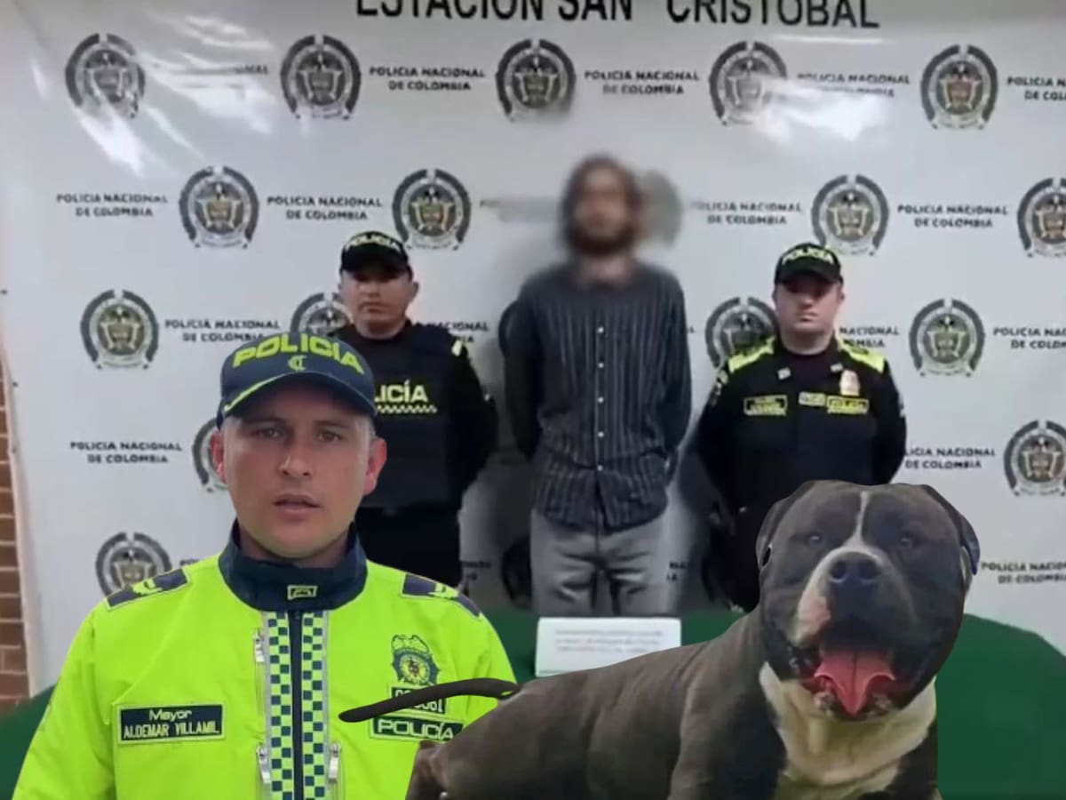 Policía capturó a un hombre por matar a un perro en Bogotá