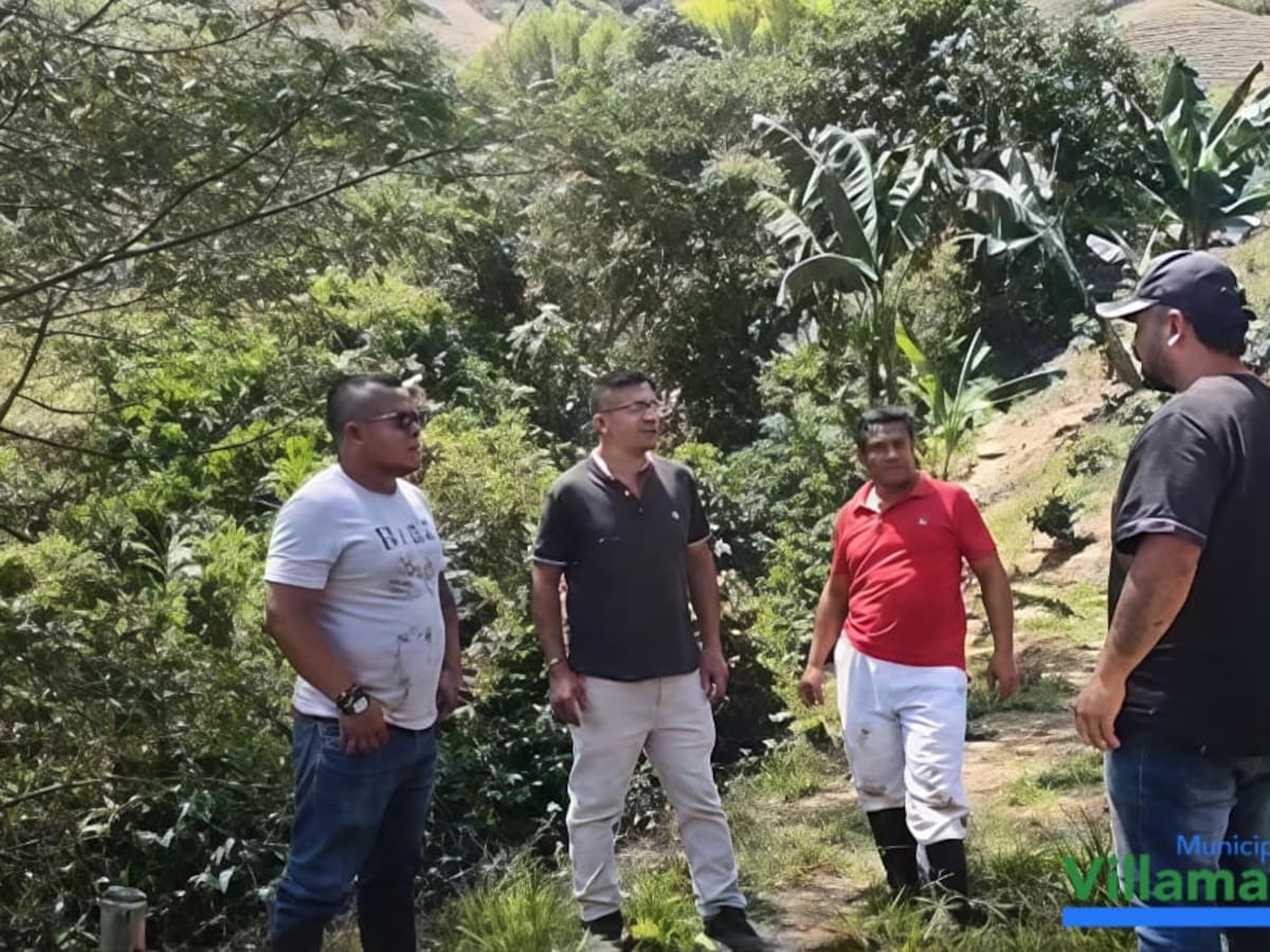 Los campesinos en Villamaría (Caldas) están preocupados por el ataque de pumas a terneros y vacas