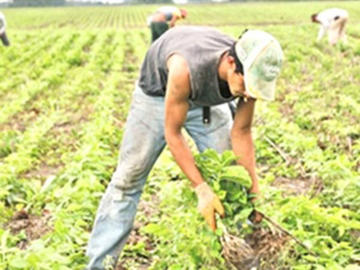 Sintrainagro reclama por asesinato de un trabajador del Valle del Cauca