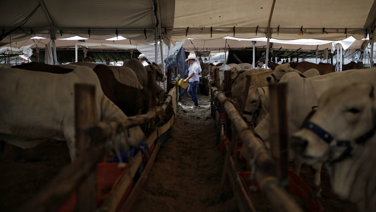 En el Huila plantas de autoconsumo abastecen el sur de Colombia