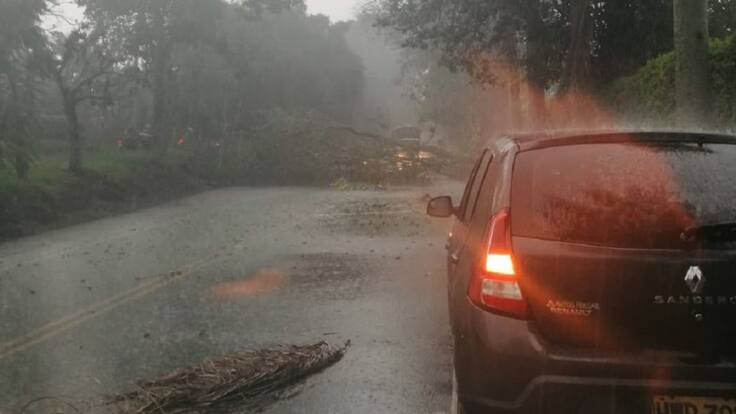 Vendaval afecto zona rural de ocho de los 12 municipios del Quindío