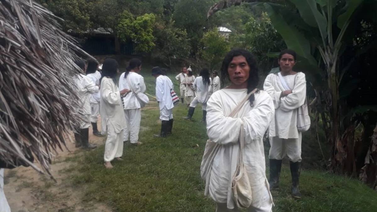 Asistencia médica con urgencia solicitan los koguis de la Sierra Nevada