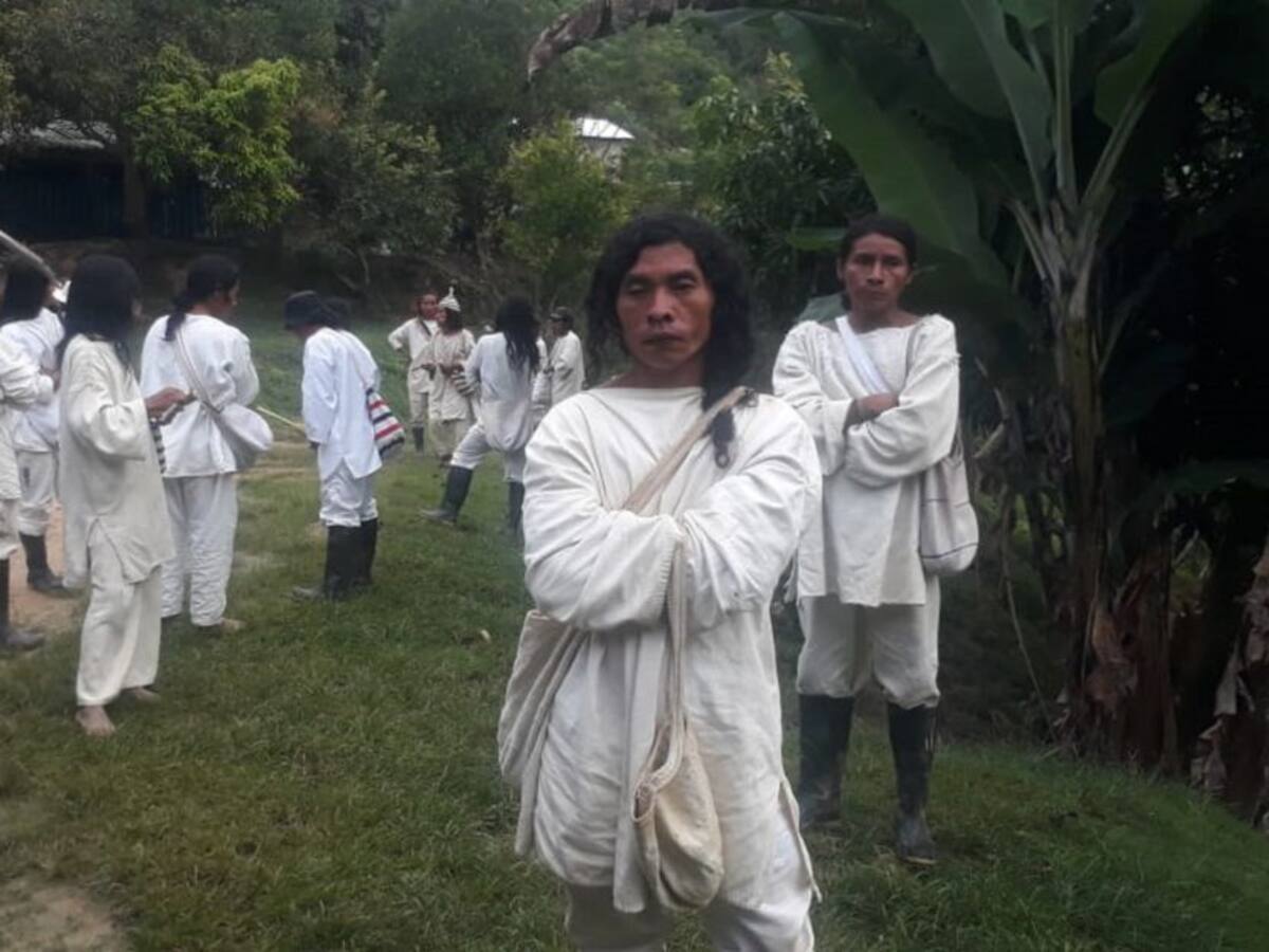 Asistencia médica con urgencia solicitan los koguis de la Sierra Nevada