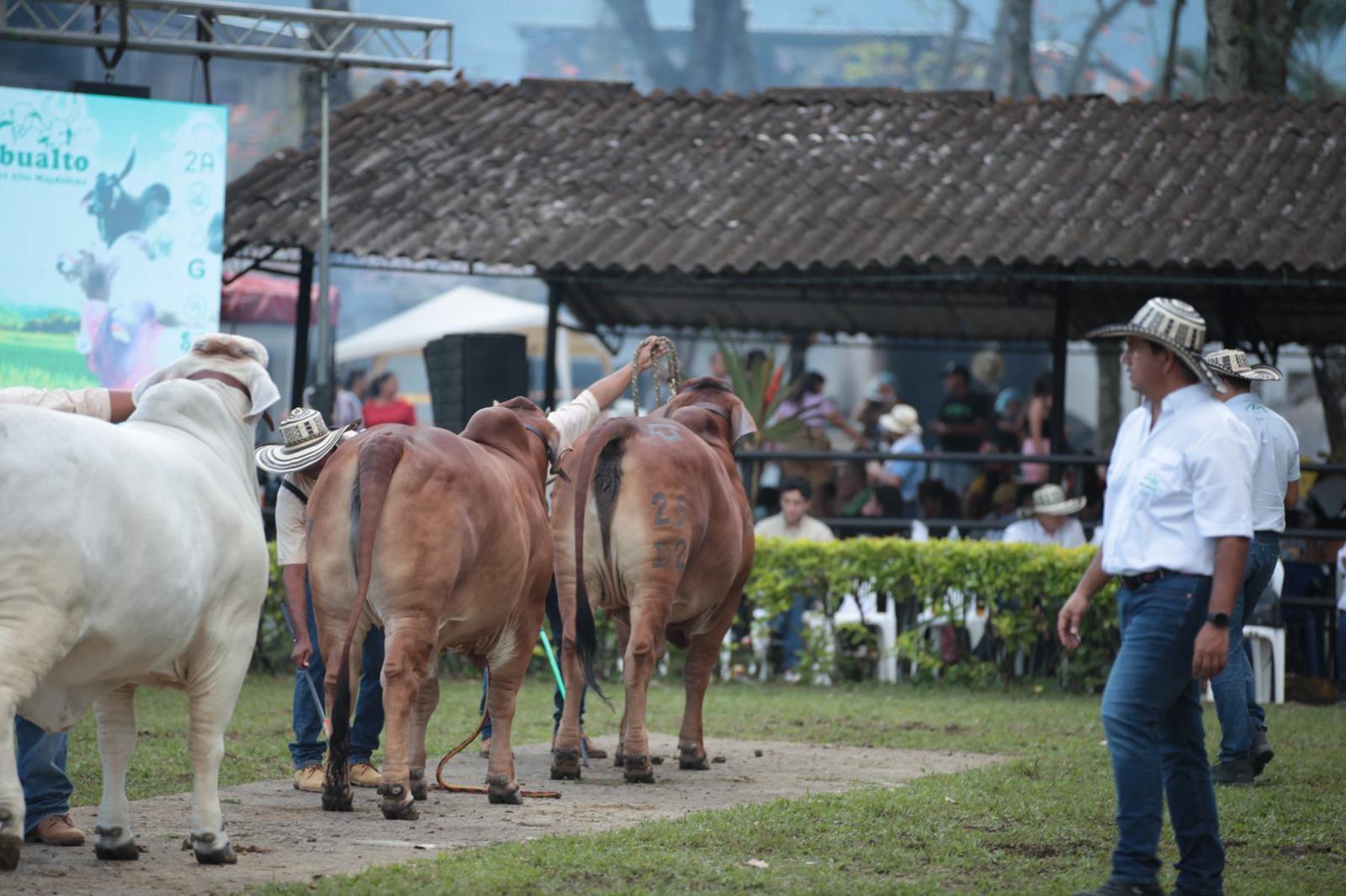 Feria Agropecuaria de Ibagué
