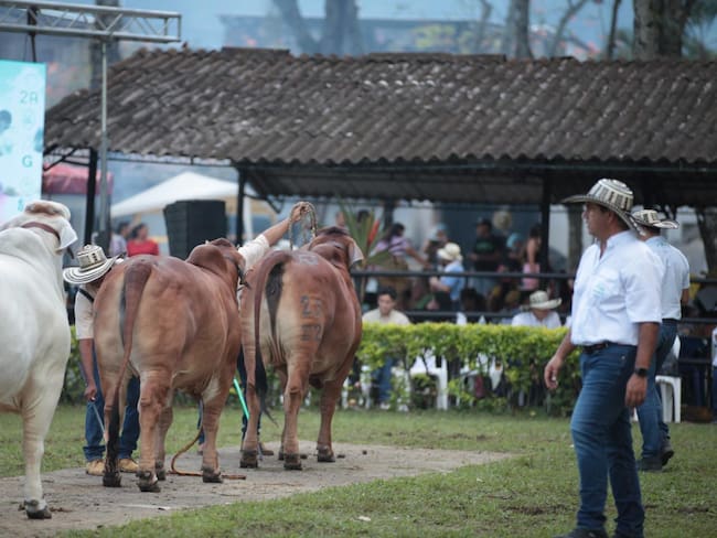 Feria Agropecuaria de Ibagué