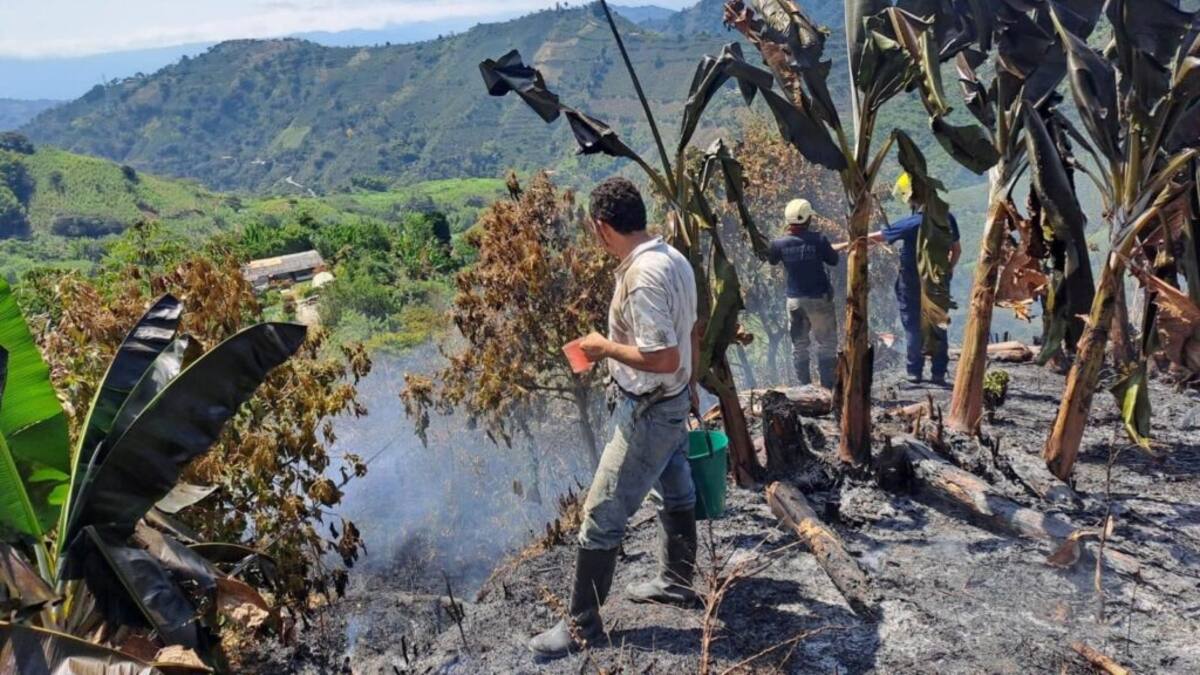 Más de 100 incendios se han presentado en Caldas en el año 2024