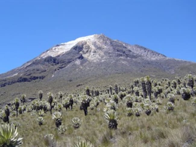 Ministerio de Medio Ambiente autorizó reapertura total del parque natural Los Nevados