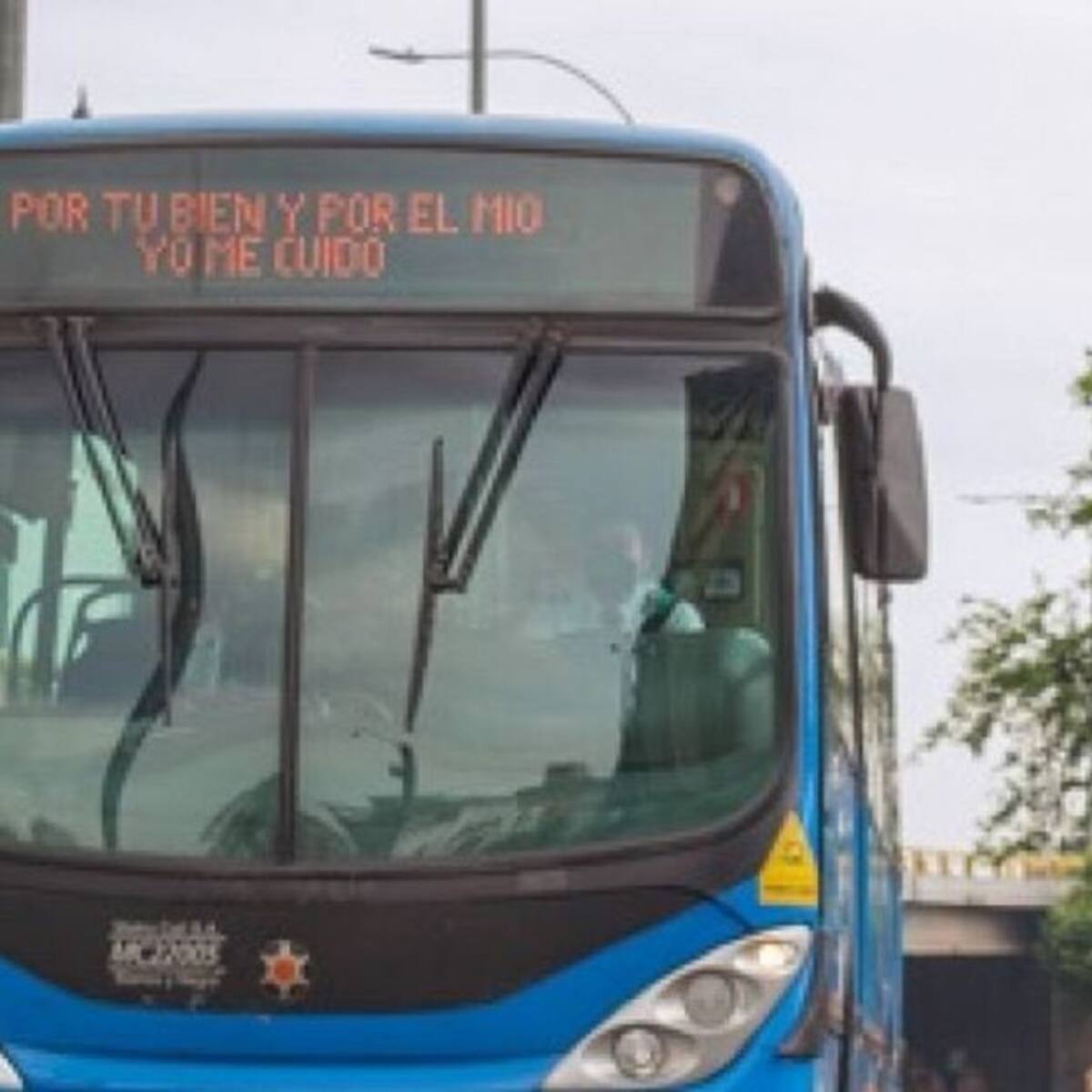 Activada la ruta T-31 del MIO