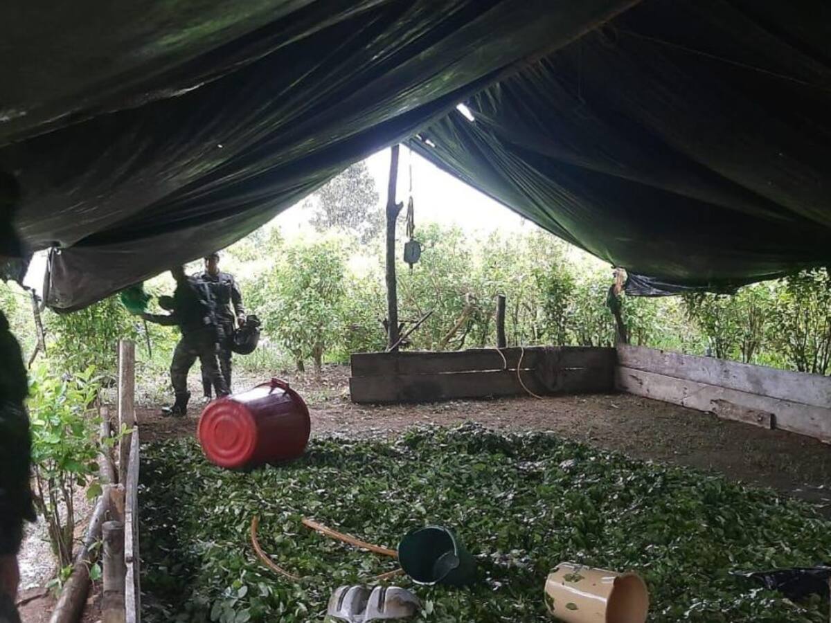 Siete laboratorios de coca fueron destruidos en el Putumayo