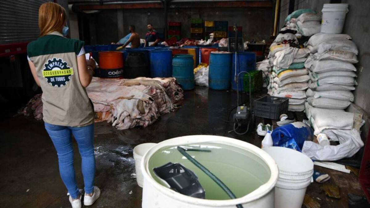 Decomisan tres toneladas de productos cárnicos en Dosquebradas
