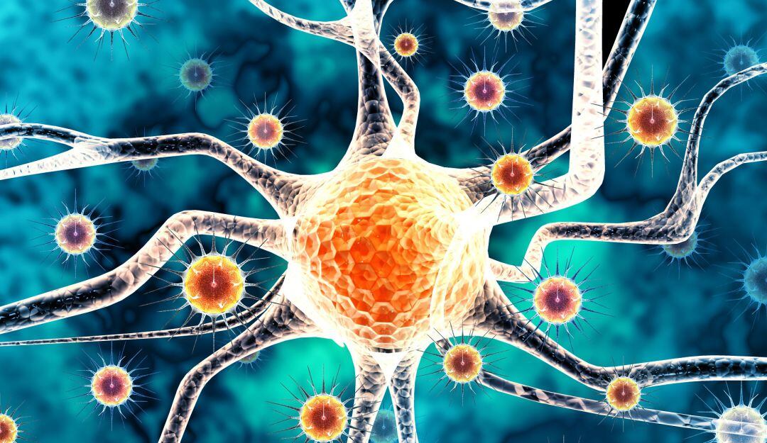 Henipavirus, virus animal en China: qué es, síntomas y gravedad