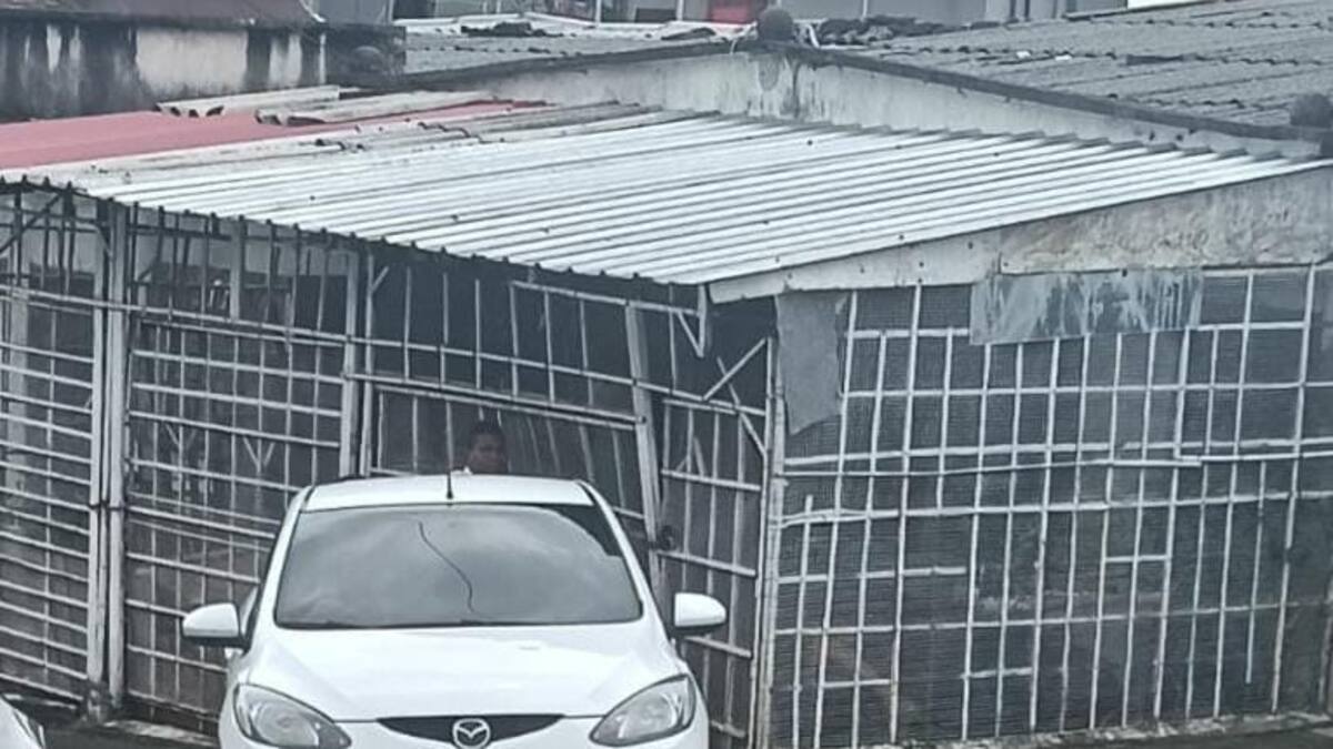 Coronel Luis Fernando Atuesta, comandante de la Policía sobre caso en Armenia