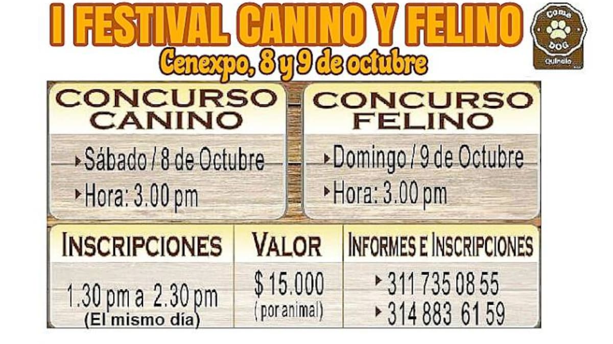 Cenexpo epicentro de desfile canino y exposición felina dentro de la exposición Equina grado A