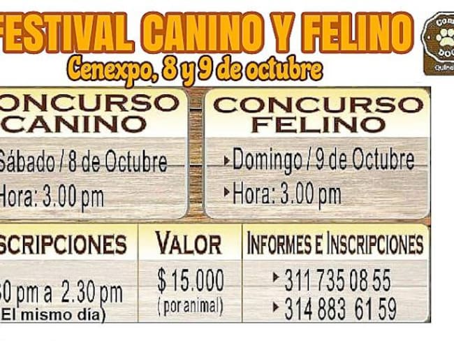 Cenexpo epicentro de desfile canino y exposición felina dentro de la exposición Equina grado A