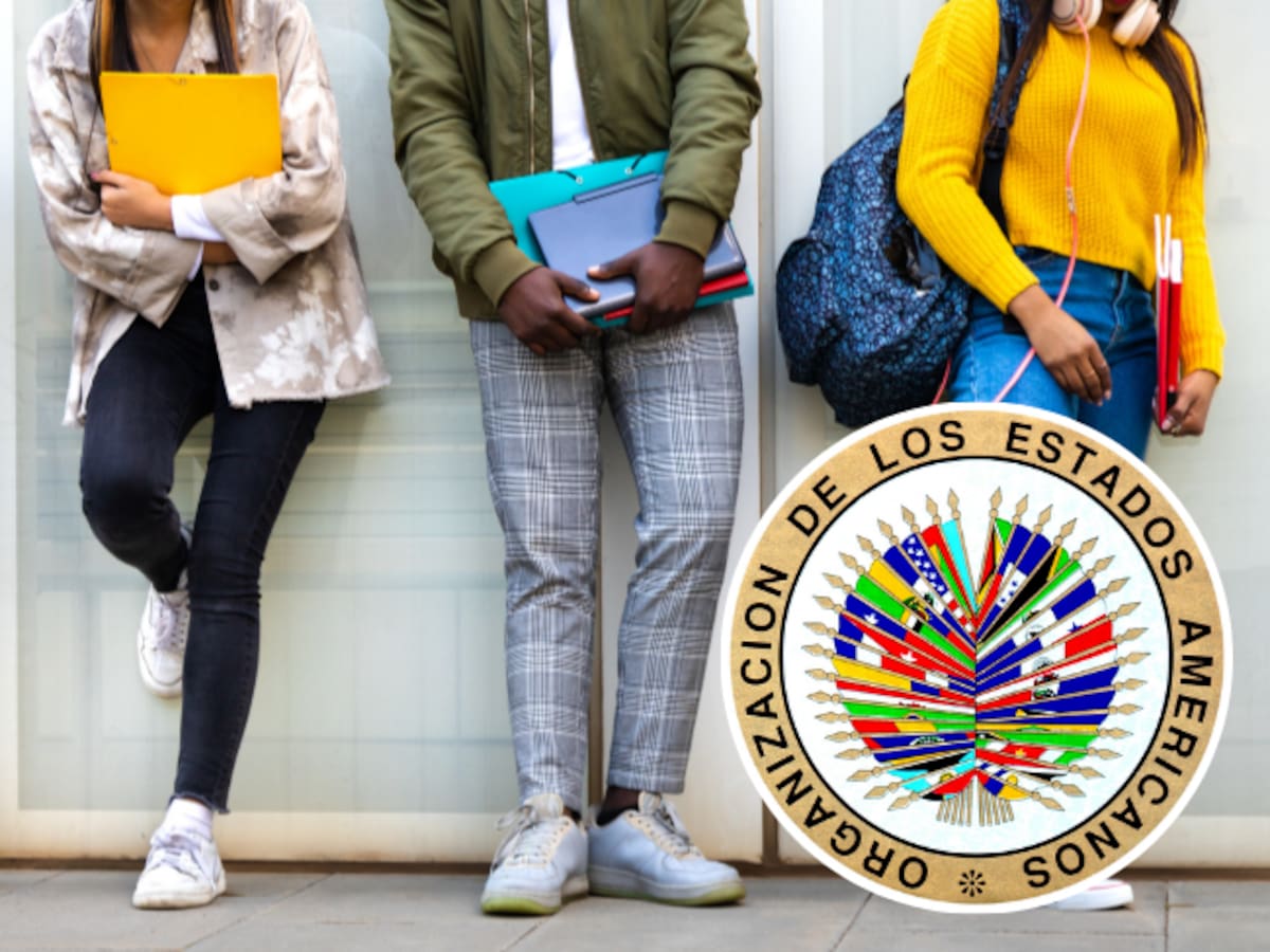 OEA lanzó convocatoria de becas para maestrías virtuales ¿Cómo aplicar? Plazos y más