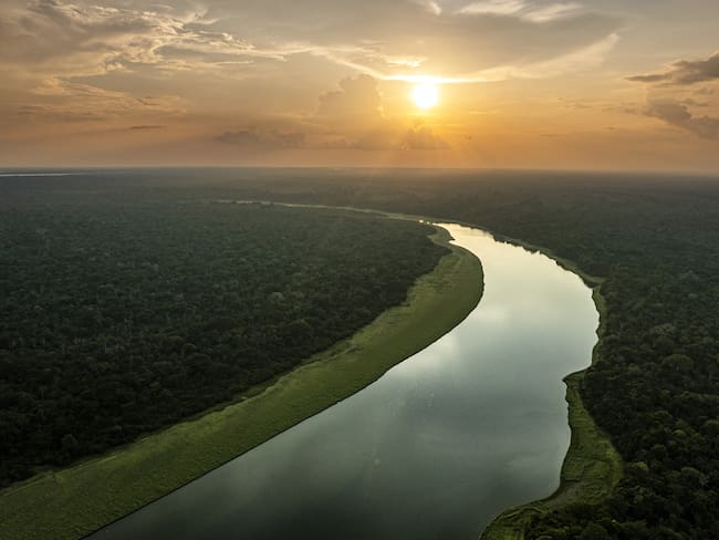 ACOMPAÑA CRÓNICA: COLOMBIA MEDIOAMBIENTE - AME9130. PUERTO NARIÑO (COLOMBIA), 21/10/2023.- Fotografía del 17 de octubre de 2023, cedida por WWF Colombia, que muestra una vista panorámica del río Amazonas en Puerto Nariño, en el departamento de Amazonas (Colombia). Los delfines pasean sin pasaporte por el Amazonas colombiano, donde el río más caudaloso del mundo baña tres países. En uno de sus brazos, un delfín rosado muerto flota cerca de la ribera; no es el primero y se teme que sean más por la sequía que sufre la selva. Las agrietadas playas en mitad del río Amazonas son la mejor prueba de un verano que hacía décadas no era tan seco. Las dos temporadas de este ecosistema -una de aguas altas donde se inunda la selva y otra de aguas bajas- son cada vez más largas y pronunciadas, alterando el ciclo natural. EFE/ Wwf Colombia SÓLO USO EDITORIAL/SÓLO DISPONIBLE PARA ILUSTRAR LA NOTICIA QUE ACOMPAÑA (CRÉDITO OBLIGATORIO)
