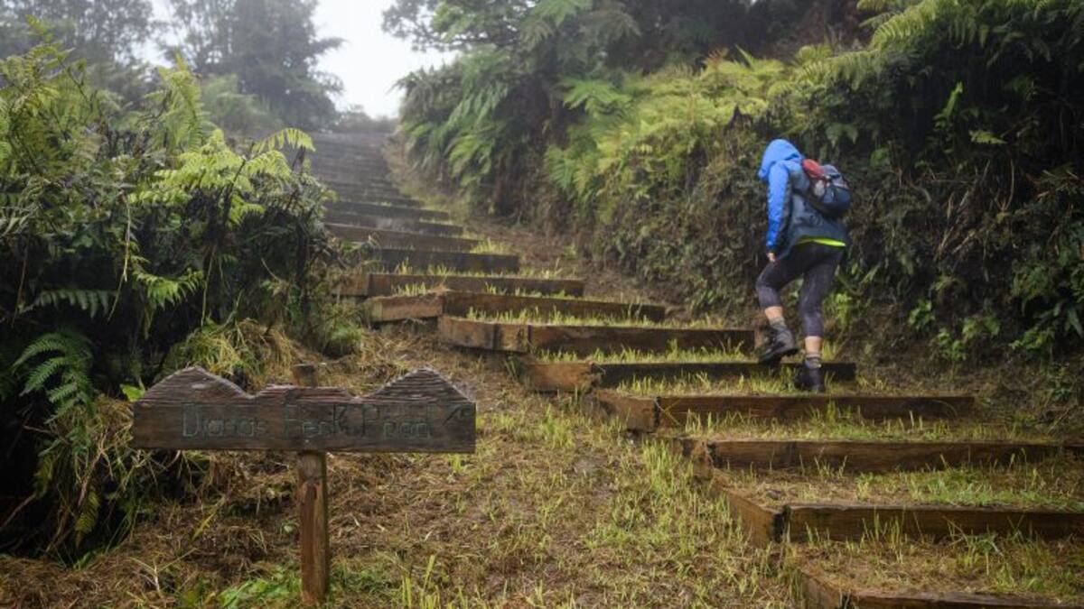Conozca el origen de las palabras ‘parque’ y ‘natural’