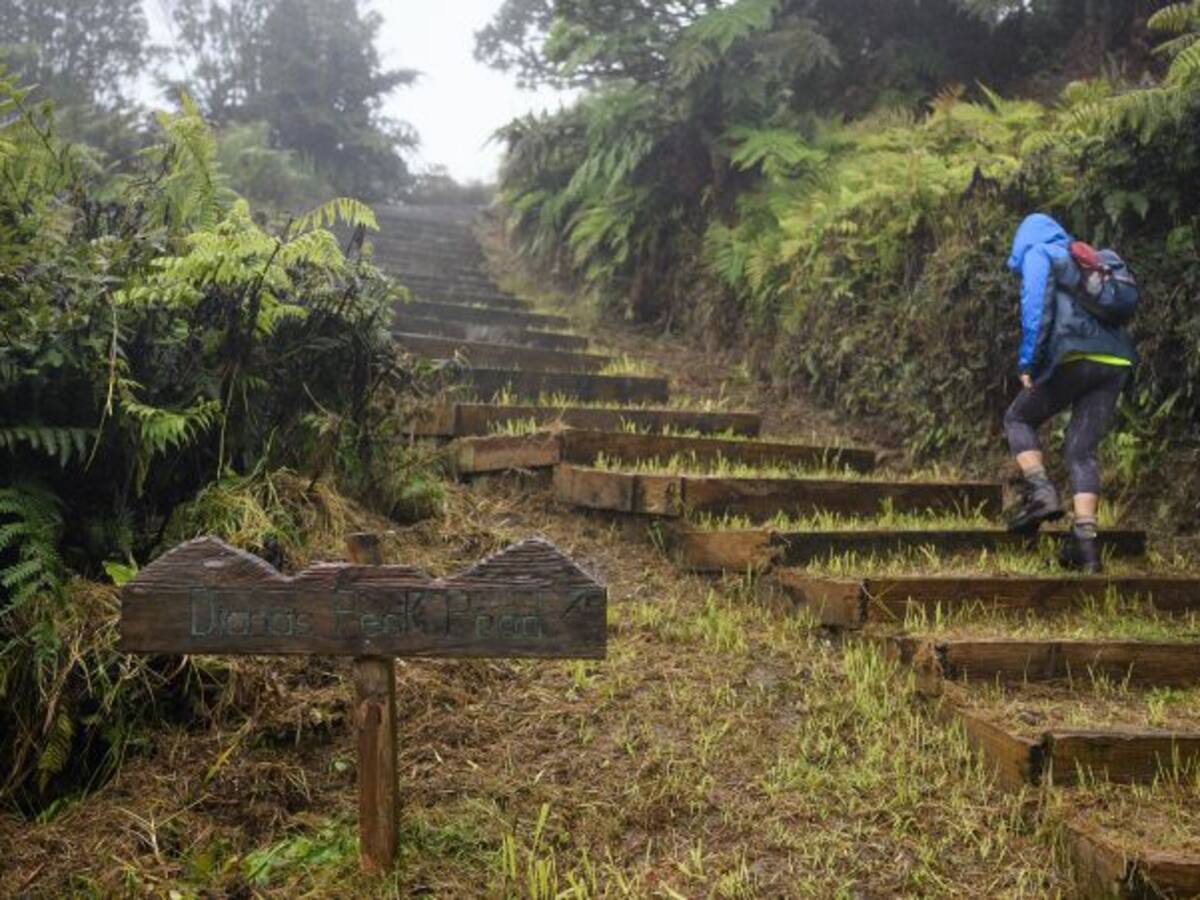 Conozca el origen de las palabras ‘parque’ y ‘natural’