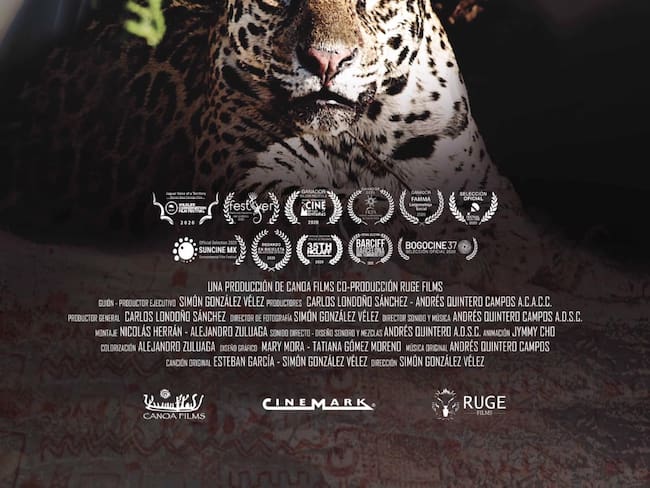 Habla Simón González Vélez director del documental ‘Jaguar voz de un territorio’