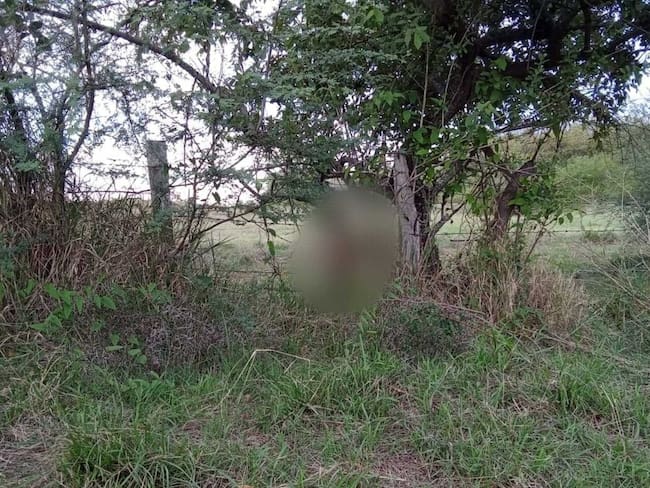 Sacrificaron a una perrita en un aparente ritual de brujería en Natagaima, Tolima