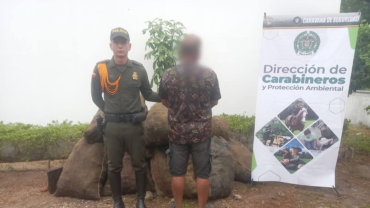 Incautan bultos con carbón ilegal en Magangué, Bolívar