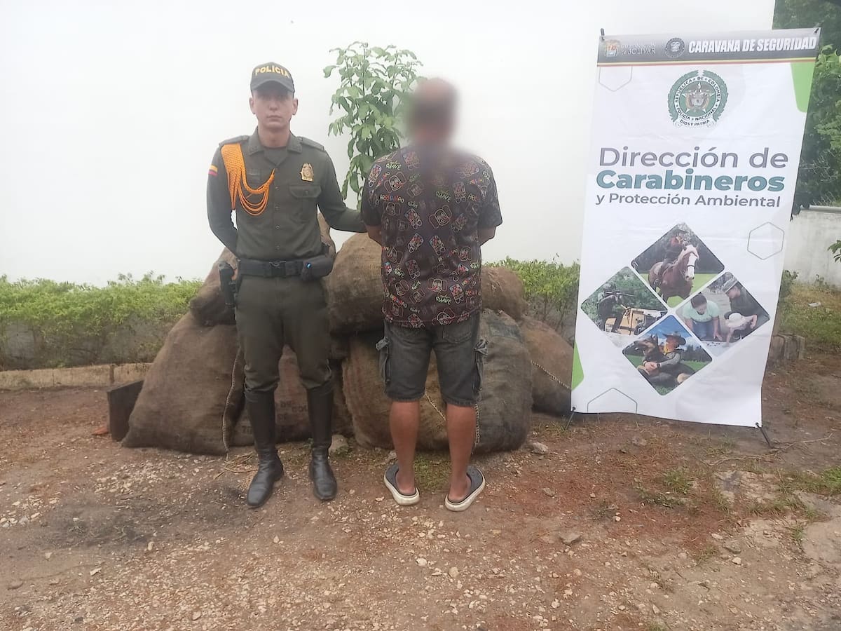 Incautan bultos con carbón ilegal en Magangué, Bolívar