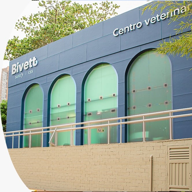 Primera red de atención veterinaria para latinoamérica acaba de nacer en Medellín