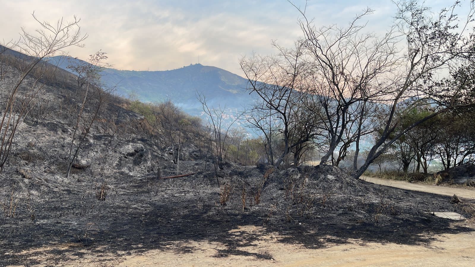 Incendio forestal amenaza varias viviendas. Foto: W Radio.
