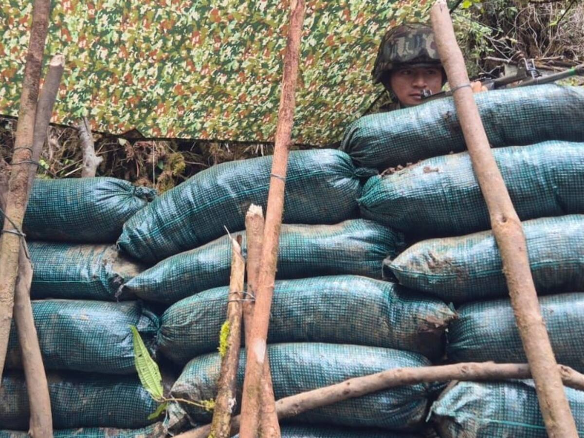 El plan de las disidencias de ‘Iván Mordisco’ para sacar al Ejército del Cañón del Micay