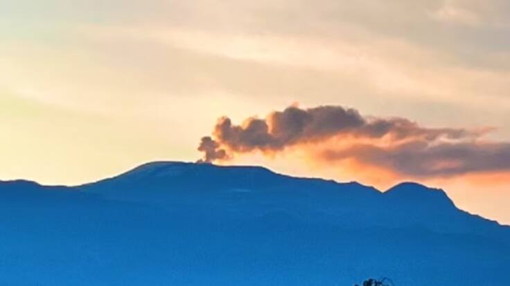 Directora Udegerd, Mónica Camacho