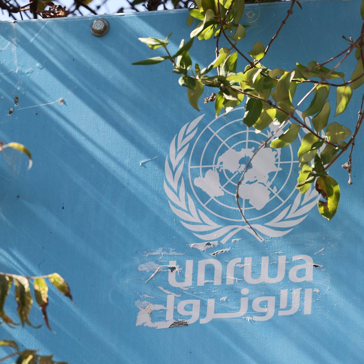 “Hamás tiene a UNRWA como base militar y se roba las ayudas”: Diputada Parlamento israelí