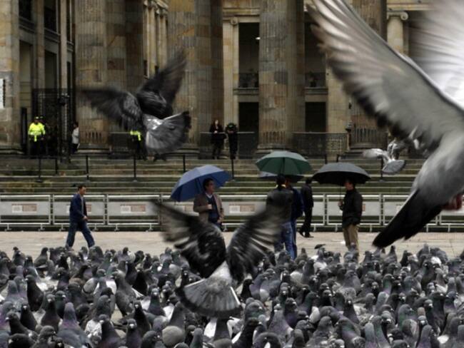 Inicia reubicación de vendedores de maíz de la Plaza de Bolivar