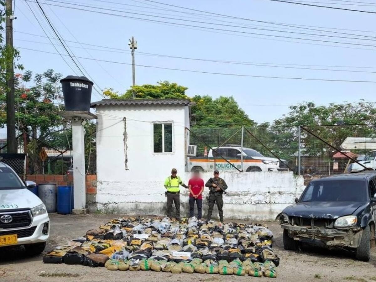 Policía incautó más de 800 kilos de marihuana en el sur del Tolima