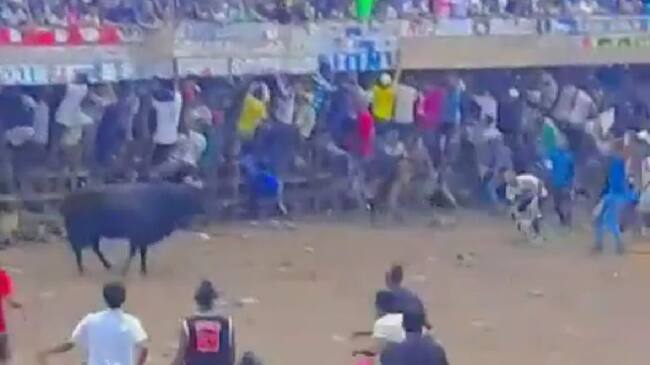 Corralejas en Repelón, Atlántico