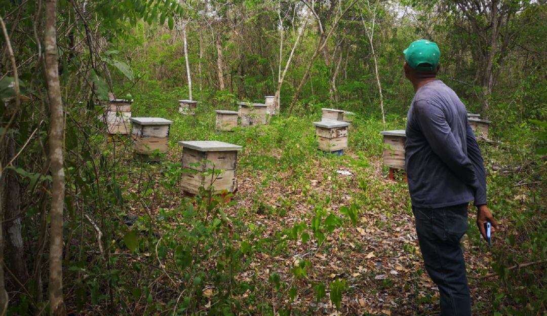 Proyecto Montes de María