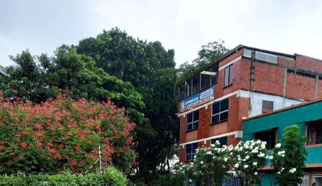 Suministrada Secretaria de Ambiente y Gestión del Riesgo