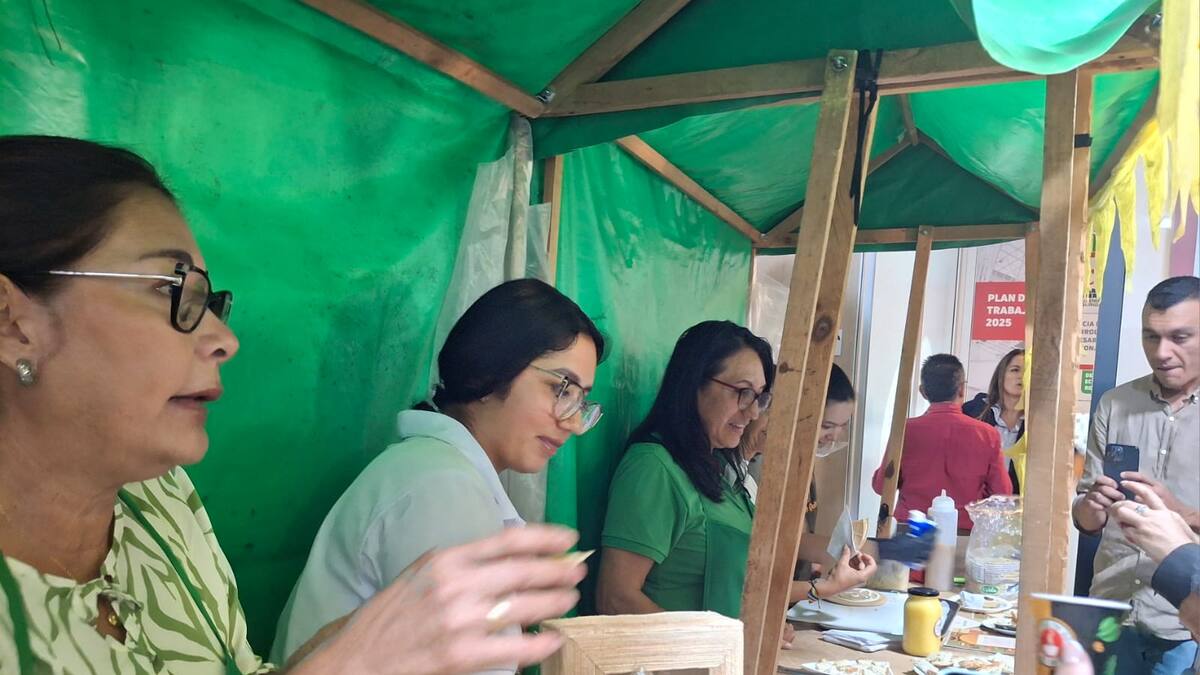 Informe sobre festival del plátano