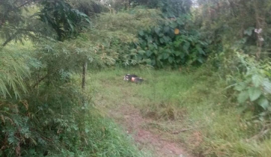 Ambos de sexo masculino y uno de ellos decapitado y otro presentaba múltiples heridas con arma corto punzante en el cuello.