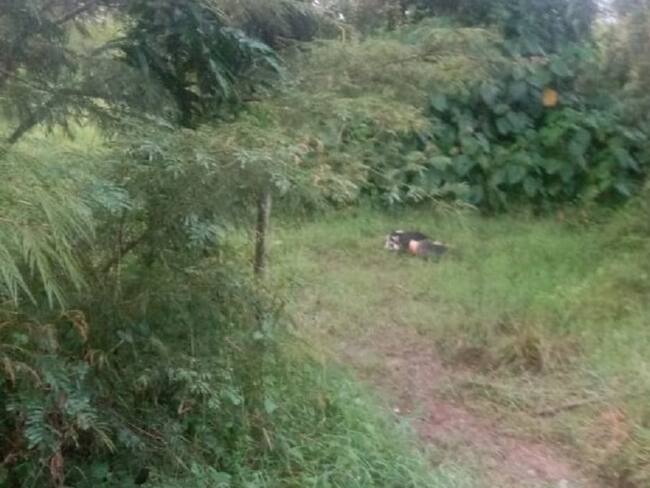 Ambos de sexo masculino y uno de ellos decapitado y otro presentaba múltiples heridas con arma corto punzante en el cuello.