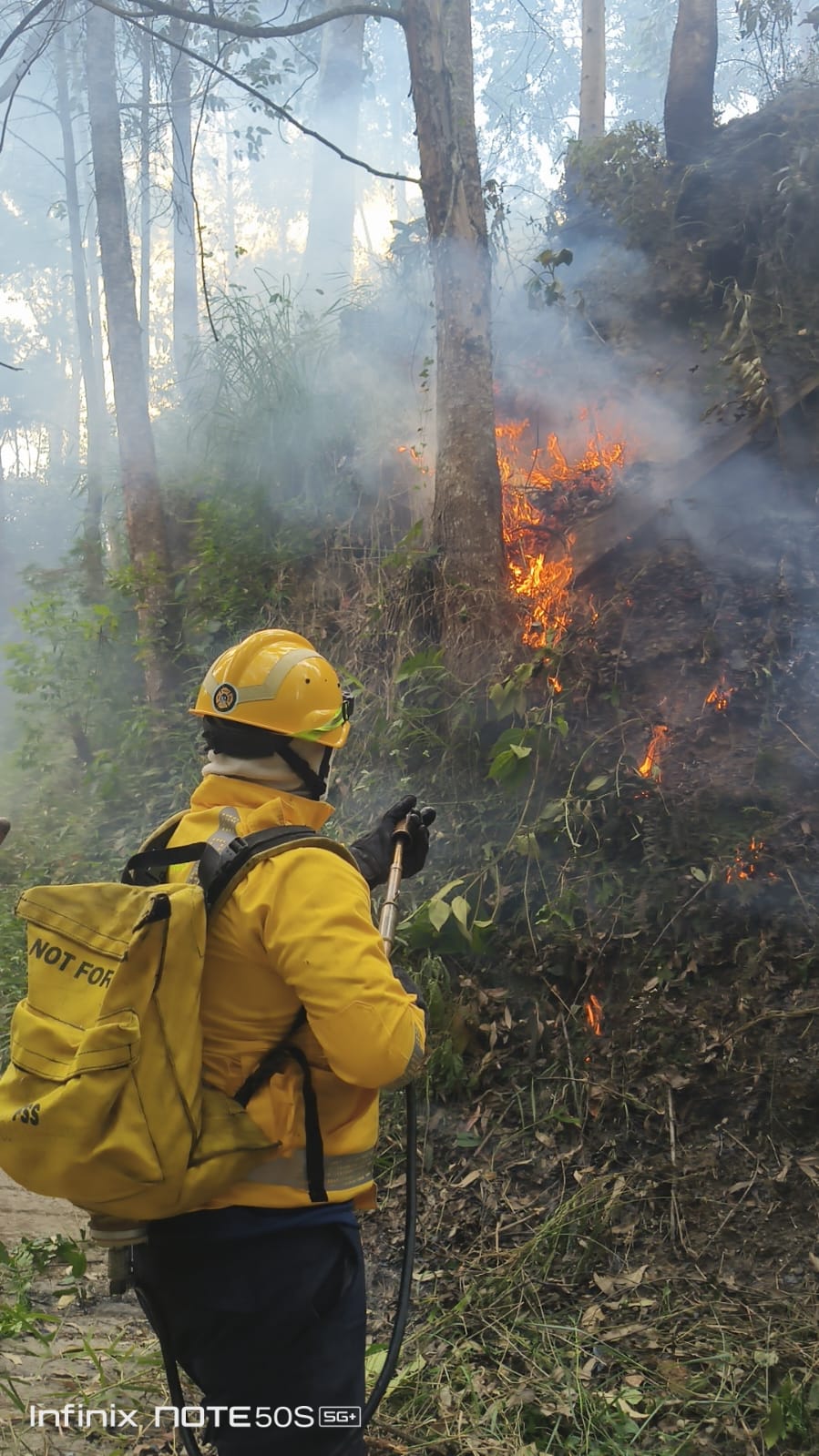 Incendio forestal en La Estrella. Foto: Cortesía Bomberos La Estrella