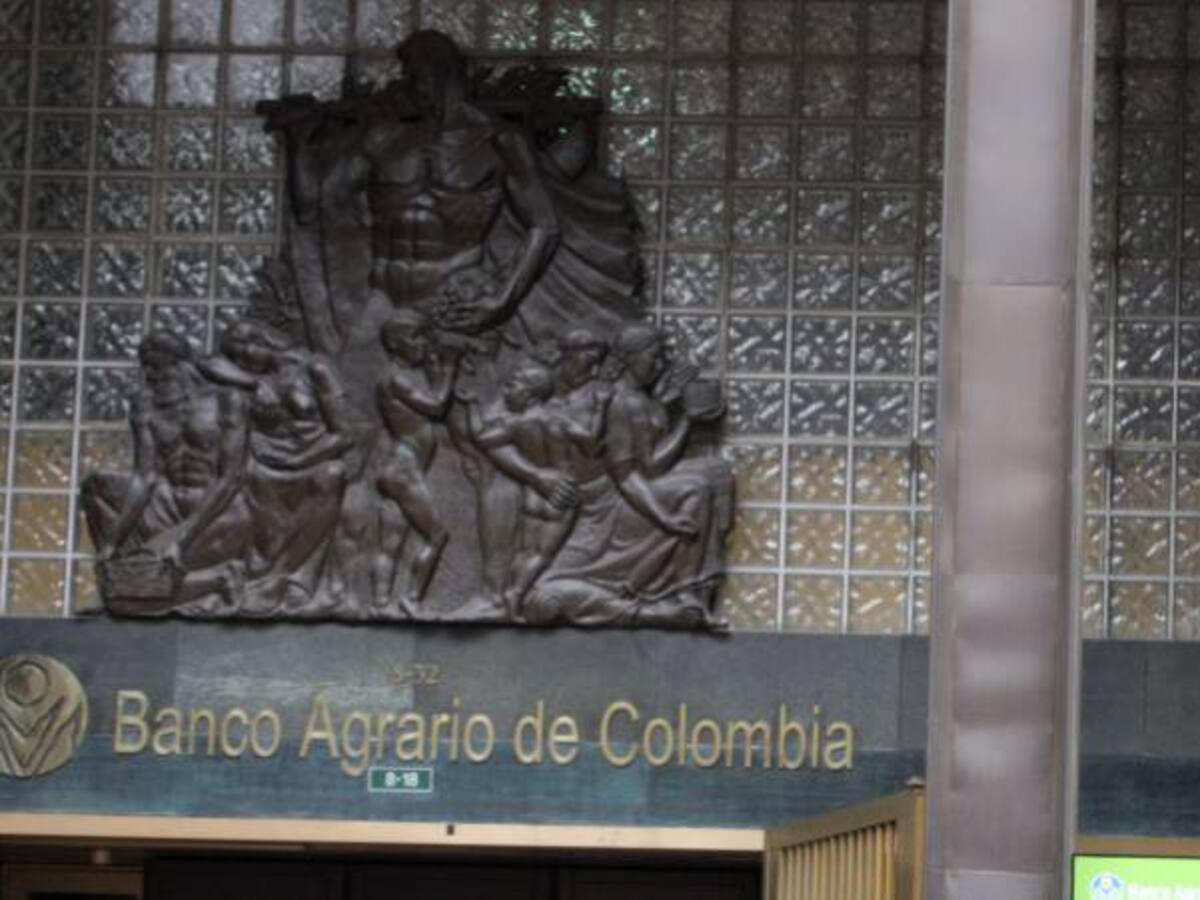 Por crédito a Navelena formulan cargos a junta directiva de Banco Agrario