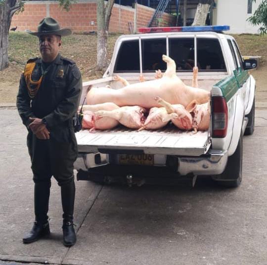 La carne incautada fue dejada a disposición de CEAGRODEX para su desnaturalización.