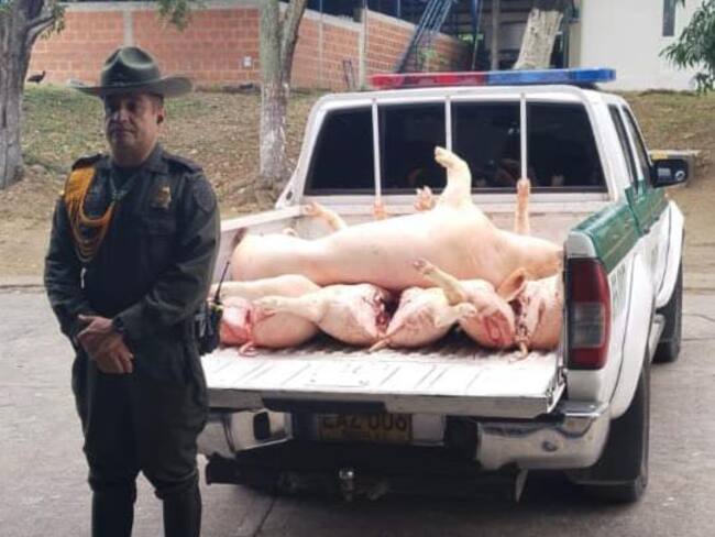 La carne incautada fue dejada a disposición de CEAGRODEX para su desnaturalización.