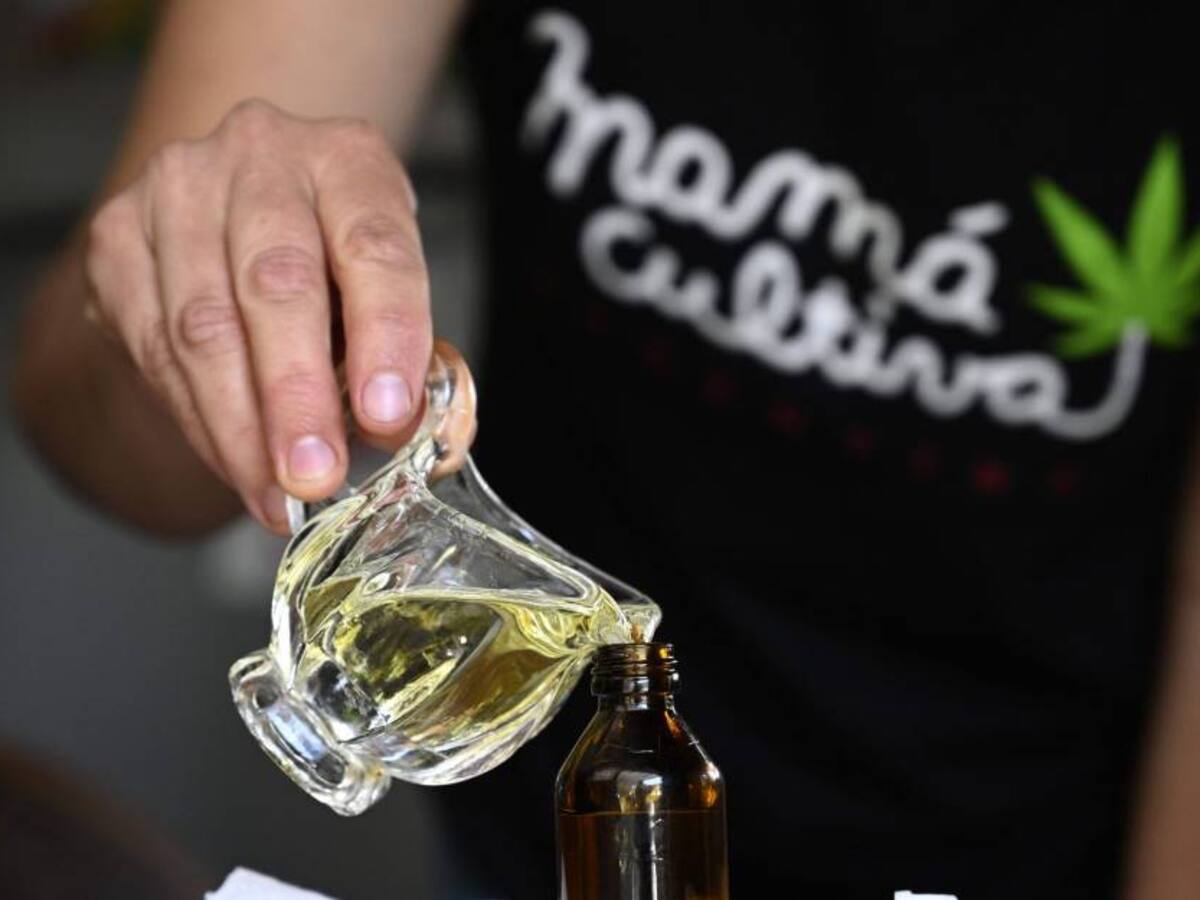 Argentina regula la industria del cannabis medicinal y cáñamo