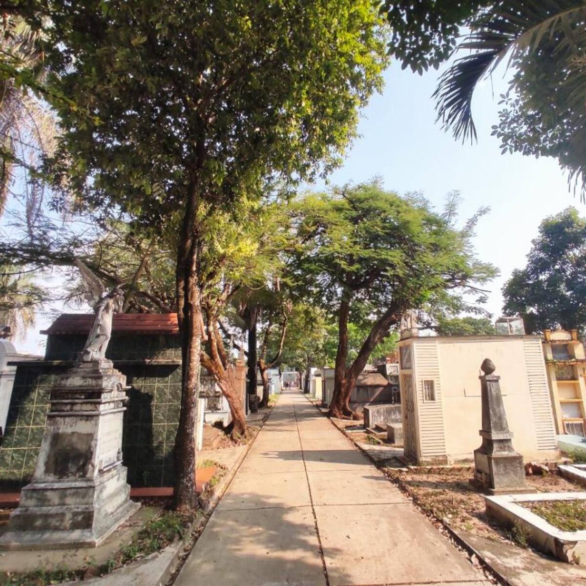Unidad de Búsqueda intensifica labores en Cementerio Central de Neiva y entrega de cuerpos