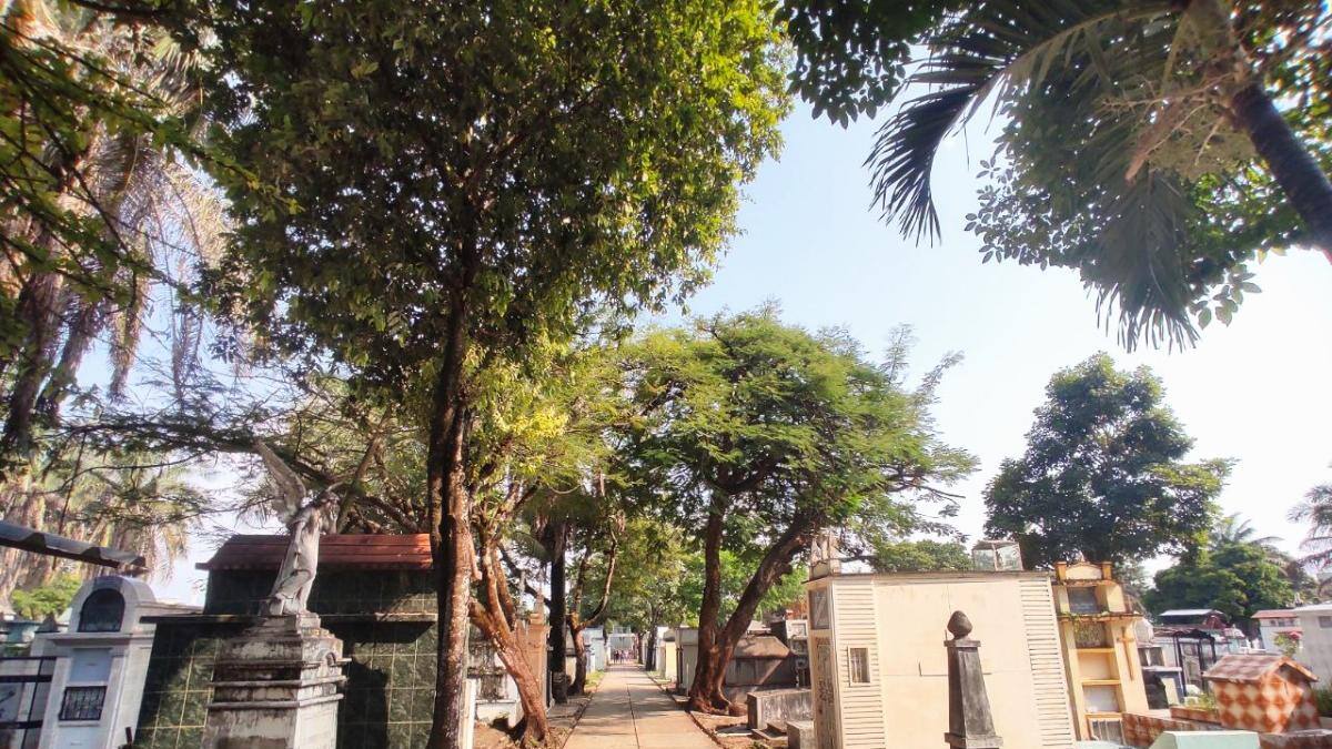 Unidad de Búsqueda intensifica labores en Cementerio Central de Neiva y entrega de cuerpos